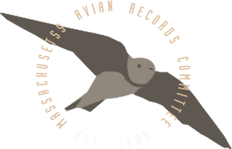Massachusetts Avian Records Committee -- Est. 1989