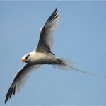 Read the 15th annual report.